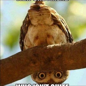 Meet your Posher, Patricia